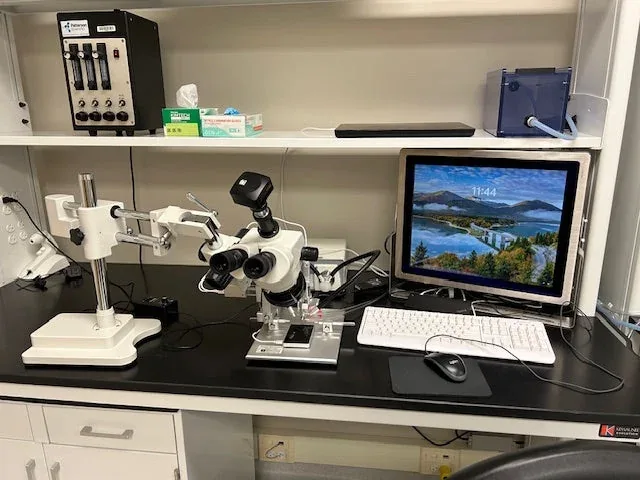 Microscope and research instruments in the MuriPhys laboratory