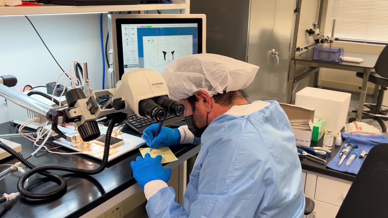 A MuriPhys scientist working at the robotic stereotaxic workstation